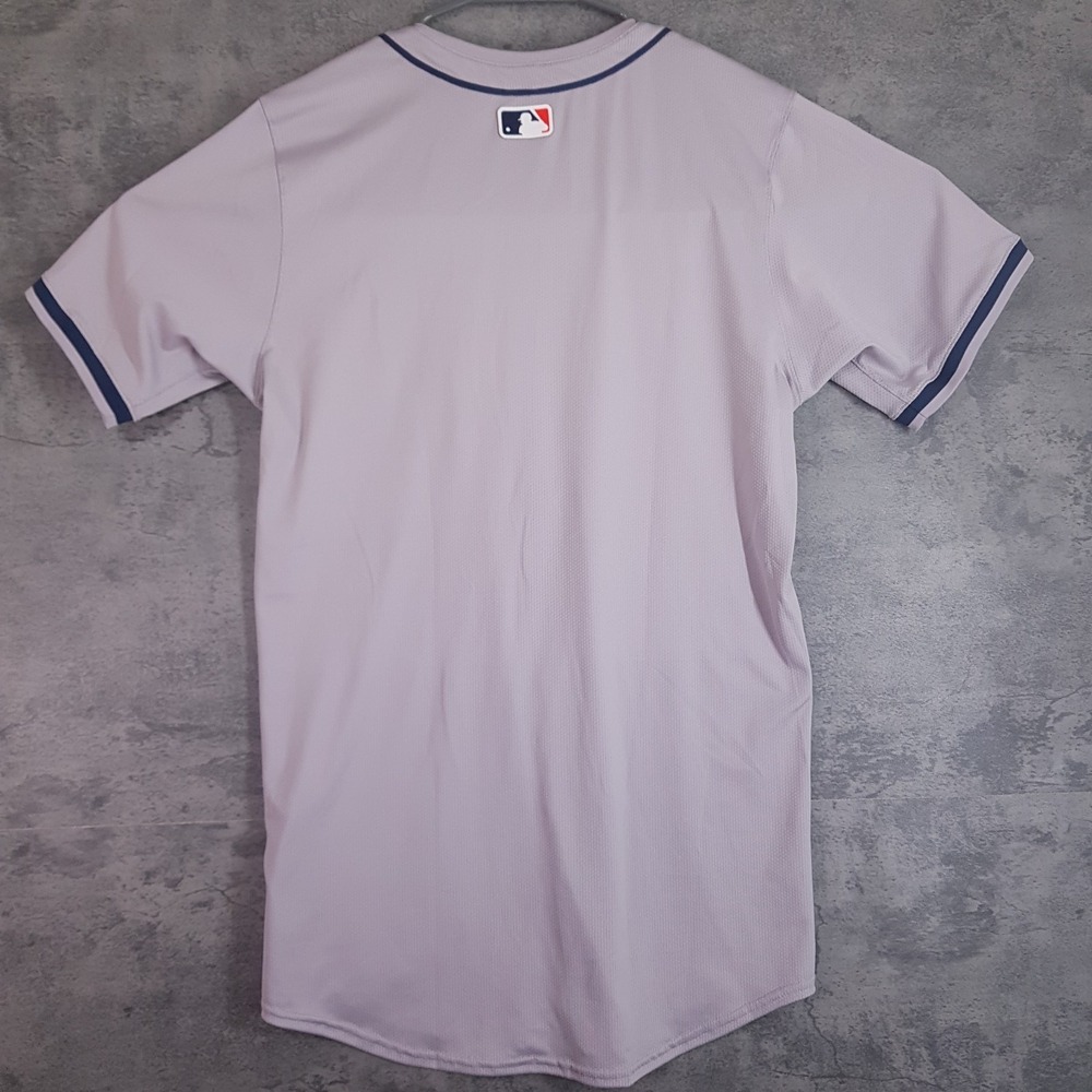 NIKE Authentic Houston Astros Vapor Elite Baseball Jersey Mens 40 MEDIUM Grey - Picture 2 of 10